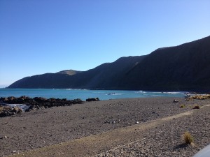 Wellington bis Napier-003